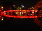 DSCN2580.JPG