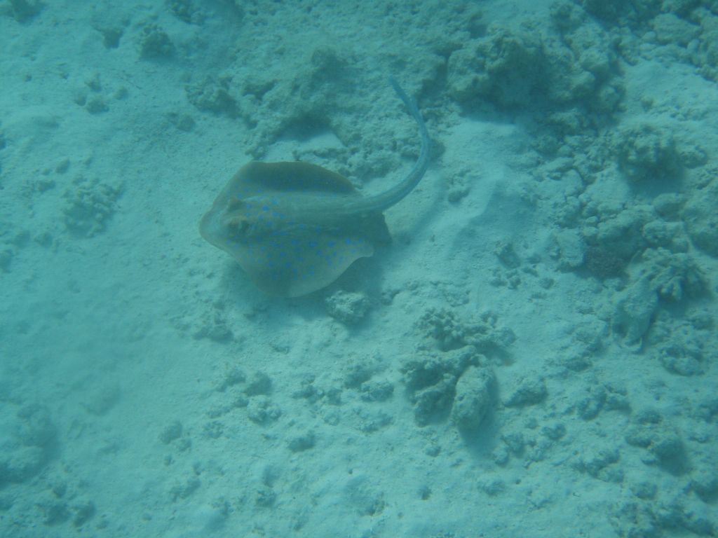 P9240271.JPG