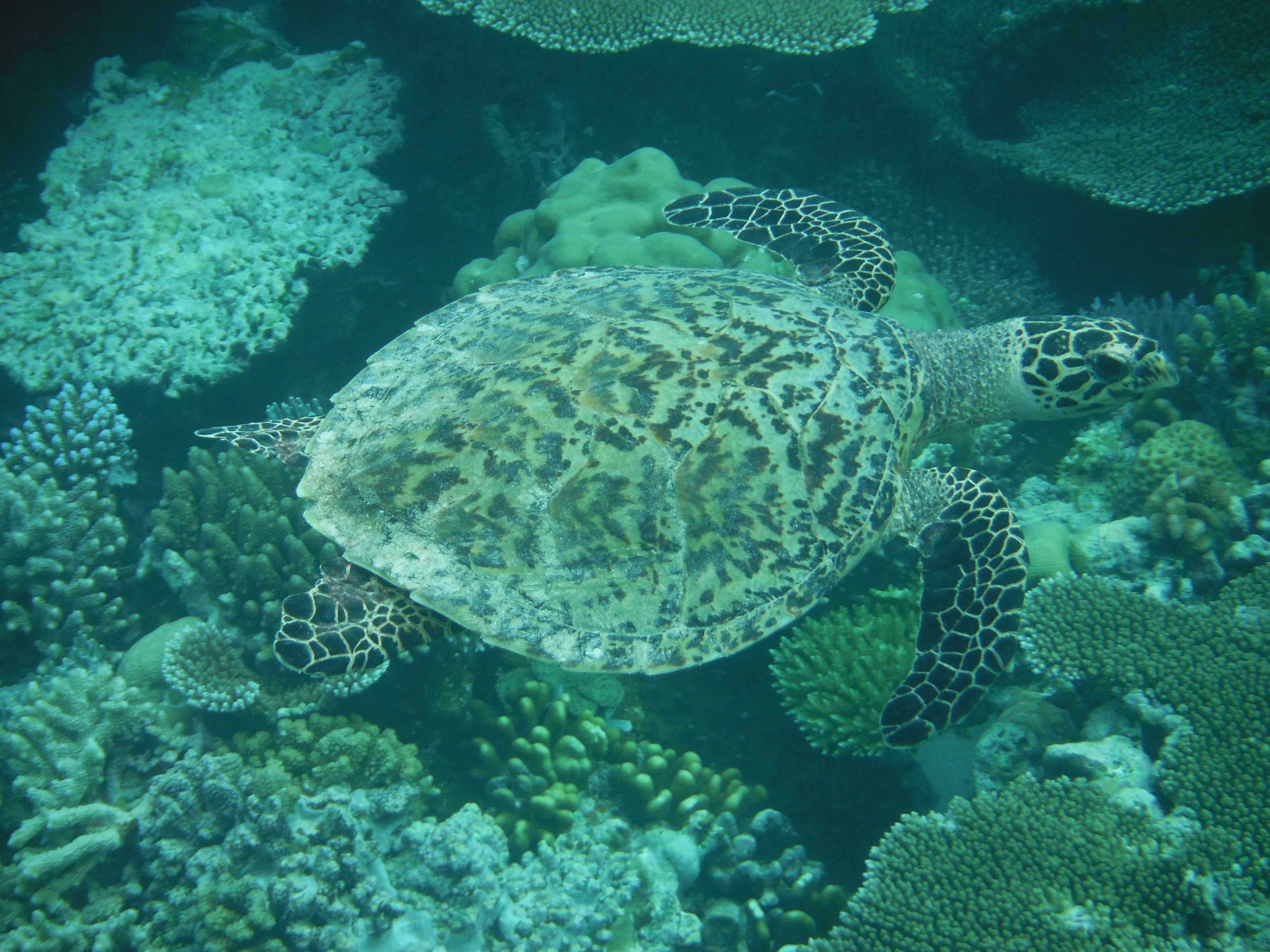 DSCF1053.jpg